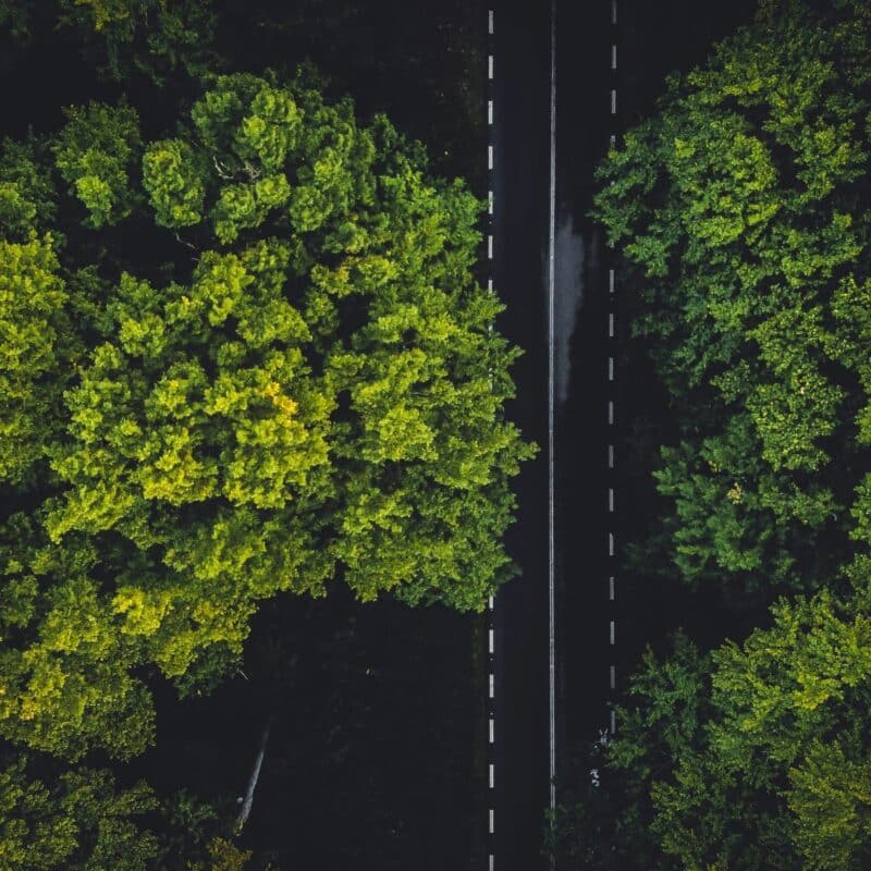 📷 El Reino Unido forma el Consejo de Energía de IA para alinear los objetivos de crecimiento y sostenibilidad 4 Straight road next to green trees as the UK government announces the inaugural meeting of a new AI Energy Council aimed at ensuring the nation's AI and clean energy goals work in tandem to drive economic growth while supporting its commitment to advancing compute infrastructure projects and attracting private investment.